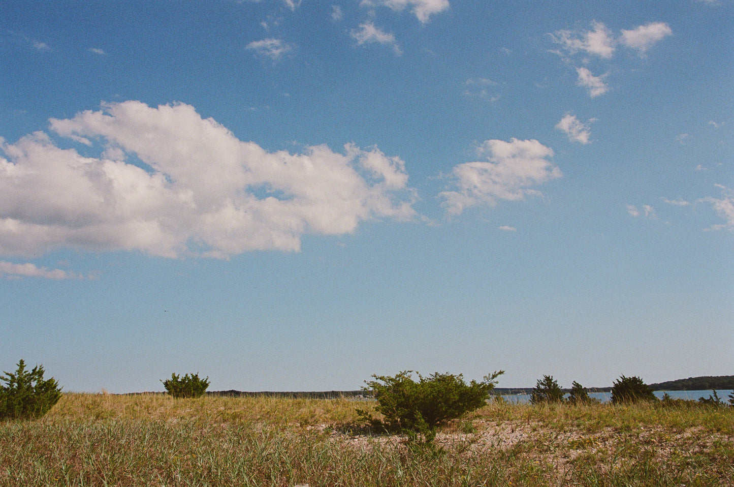 Dunes Print