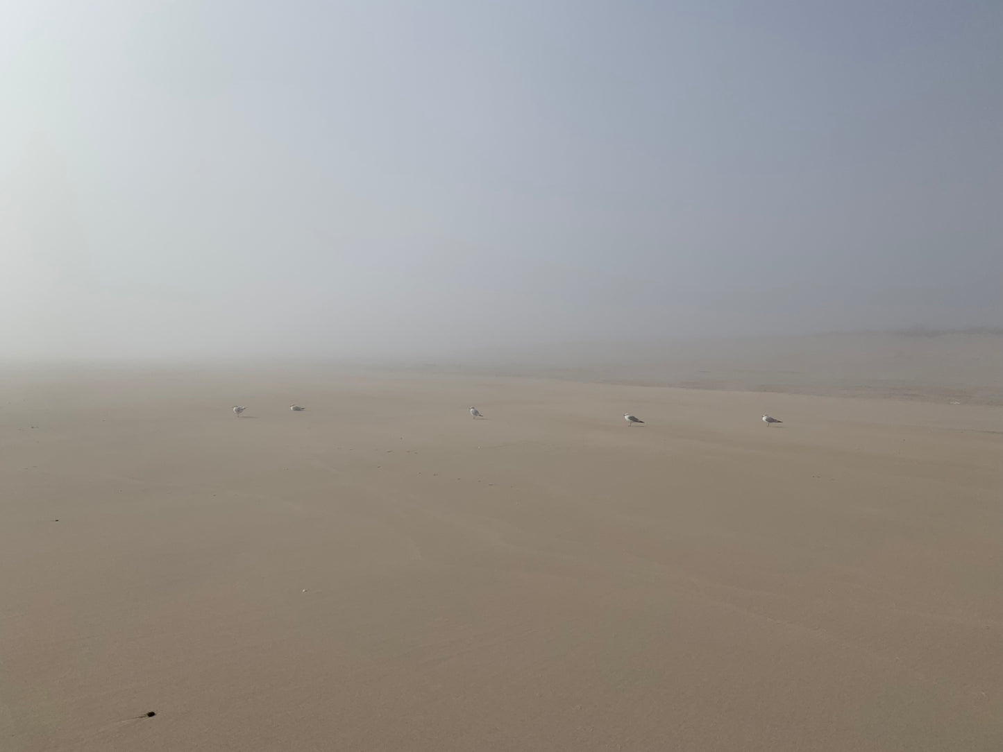 Fog Print