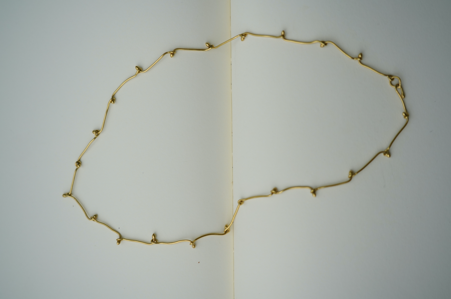 Seed Chain Necklace