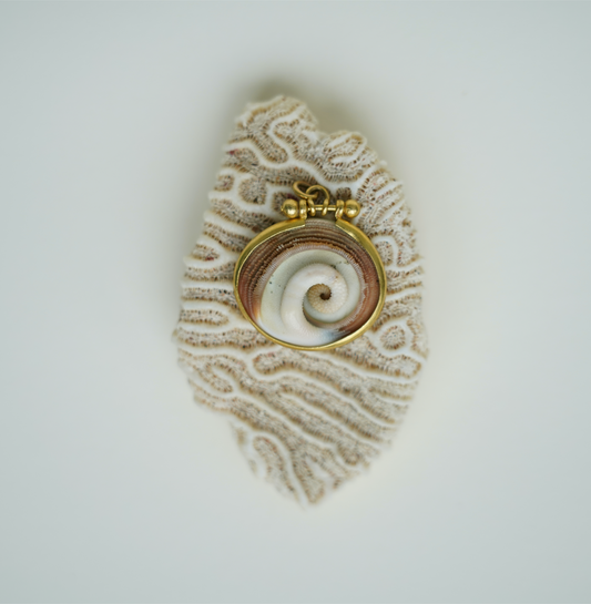 Ram Horn Shell Pendant