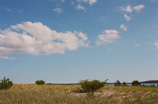 Dunes Print