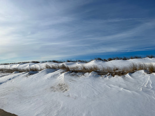 Snow Dune Print